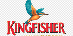 png-transparent-kingfisher-logo-illustration-beer-in-india-united-breweries-group-kingfisher-logo-kingfisher-company-bird-beer